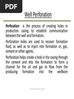 Well Perforation PDF