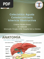 Seminaro Cole-IctericiaObstructiva