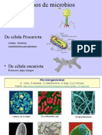 Microbiologia