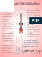 Chakra Raiz PDF