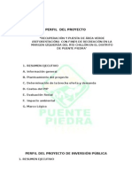 Perfil Del Proyecto de Reforestacion - Presentar