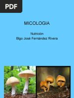 Micologia