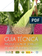 Guía Técnica Maíz Light PDF