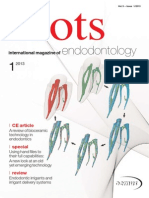 Endodontology 1: International Magazine of