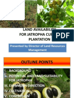 Land Availability For Jathropha Curcas Palantation