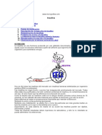 Insulina Monografia