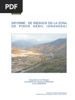 Informe Riesgos Geológicos PinosGenil