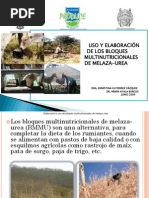 Bloques Nutricionales