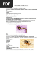 Enfermedades Causadas Por Virus PDF