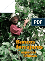 Banco Forrajero