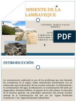 Medio Ambiente Region Lambayeque-Grupo 5