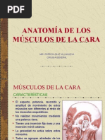 Anatomia de La Cara