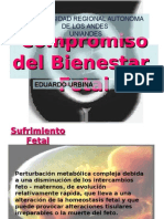 Compromiso Del Bienestar Fetal