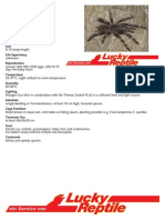 Brazilian Giant Blonde Tarantula Care Sheet