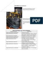 Care Sheet - Mangrove Snake