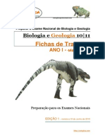 Fichasgeologiaanoi PDF