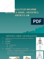 Generalitati Sist Osos