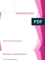 Hematopoyesis 346241234