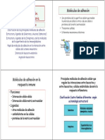 TEMA-6-Adhesion Celular 