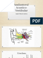 Analizatorul Acustico Vestibular