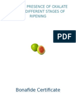 EXPERIMENT REPORT FILE of Amount of Oxalate Ion