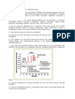 Cuestionario - Absorción de Glucosa y Peristaltismo