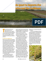 Rice Today Vol. 14, No. 1 A Four Decade Quest To Improve Rice in Latin America and The Caribbean