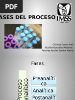 Fases Del Proceso Lab