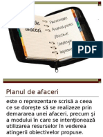 Planul de Afaceri - Teorie