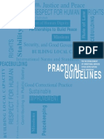 ICPA - Practical Guidelines