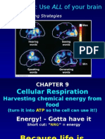 9 Cell Respiration