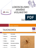 Loxocelismo