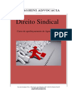 Apostila Direito Sindical 