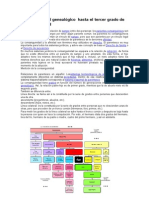 Que Es Un Árbol Genealógico Hasta El Tercer Grado de Consanguinidad