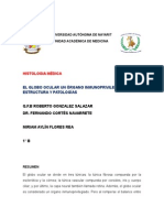 El Globo Ocular Un Órgano Inmunoprivilegiado, Estructura y Patologías