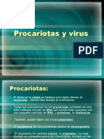 Procariotas y Virus