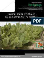 Nopal para Forraje en El Altiplano Potosino