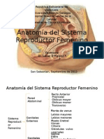 Anatomía Del Sistema Reproductor Femenino