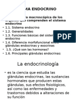 Sistema Endocrino