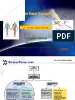 Sistem Saraf Sensorik