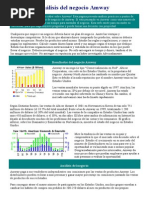 Análisis Del Negocio Amway