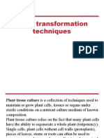 Plant Transformation Techniques