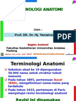 Terminologi Anatomi