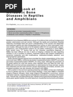 A Fresh Look at Metabolic Bone Diseases in Reptiles and Amphibians