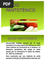 Acido Pantoténico