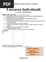 Lucrare Individuala La CybMK