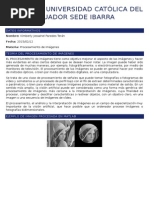 Ensayo Procesamiento de Imagenes