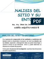 D5 - Analisis Del Sitio y Entorno - 2do Sem 14 - Irene Tello IV