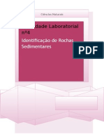 Relatório #4 Identificação de Rochas Sedimentares 8º Ano Ciências Naturais Geologia