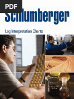 Schlumberger Log Interpretation Chats